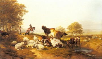 land - Rinder und Schaf Ruhen in einer umfangreichen Landschaft Bauernhof Tiere Thomas Sidney Cooper